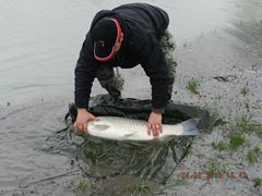 carpfishing